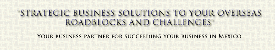 Strategic business solutions to your overseas
roadblocks and challenges